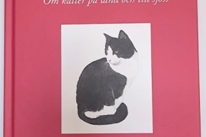 Bok